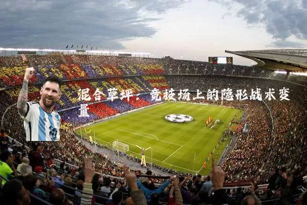 混合草坪:竞技场上的隐形战术变量